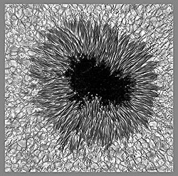 Sunspot AR 10810, observed Sept. 23, 2005 with the Dunn Solar Telescope at the NSO. At this scale, the Earth is as big as the dark 'umbral' region.