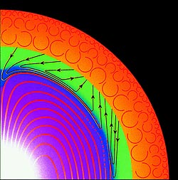 Figure 5: Schematic representation of  a magnetic field in the Radiative Zone (red lines); the shearing of part of this field in the Tachocline (green regio nwith black lines) according to one theory of solar magnetism