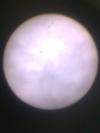 Photo of a Sunspot by K Anil Kumar